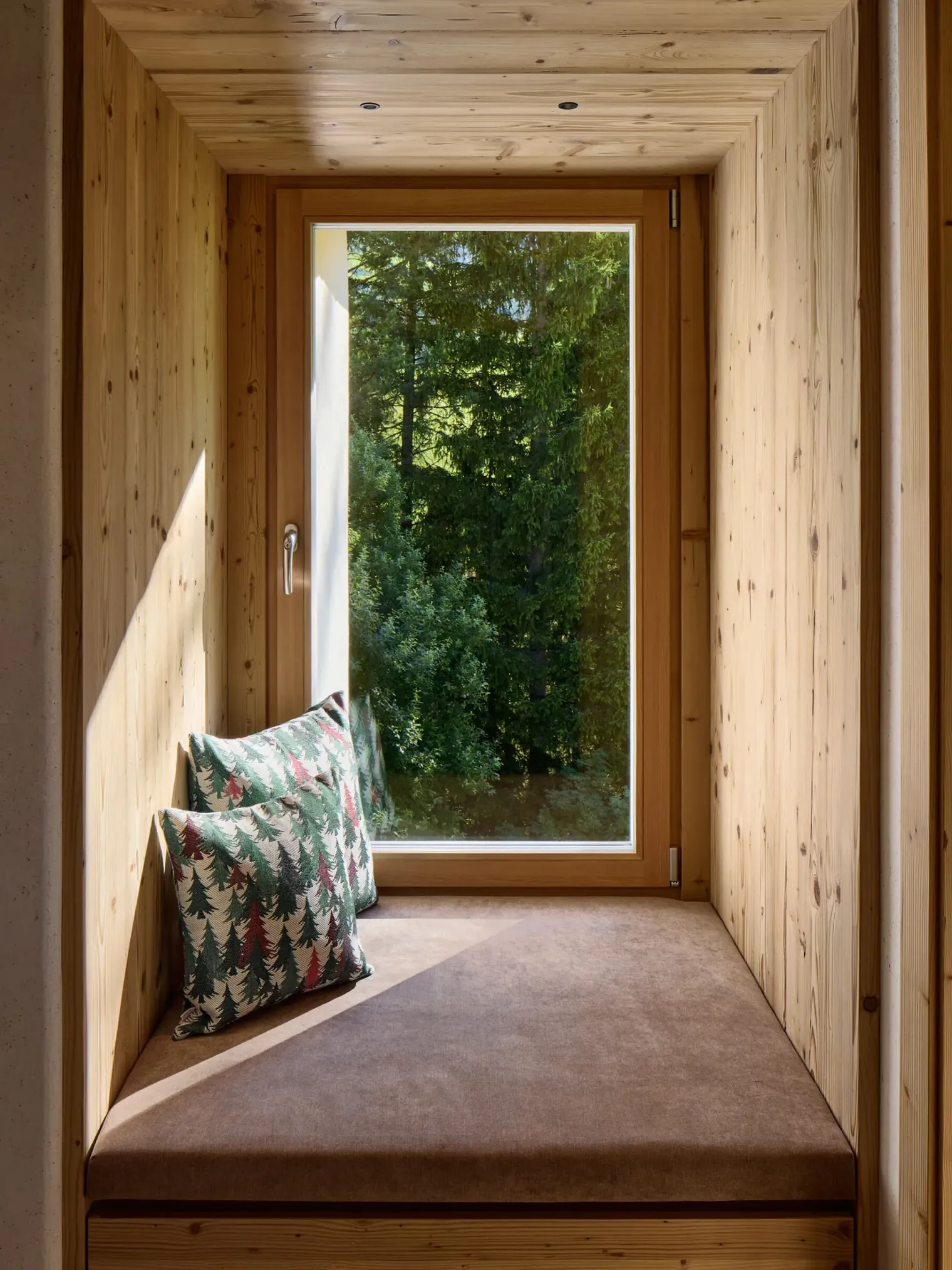 View of the La Villa forest